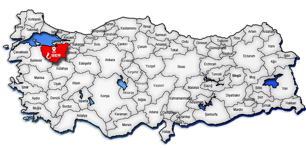 ser-bursa.png
